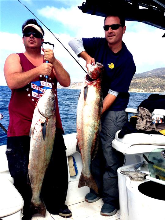 32. 15lb__33lb_WSB_Levy__Ritze_Ritze_Rock_Catalina