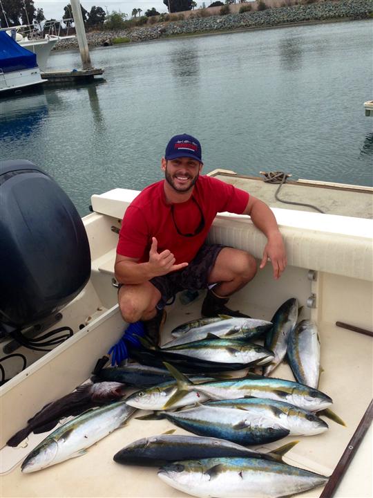 425 Yellows