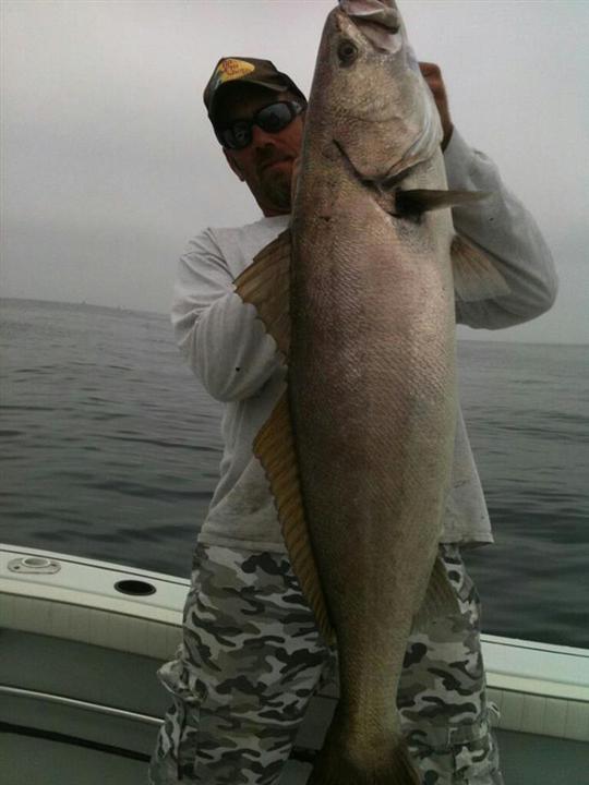 Cruz Seabass2_6-9