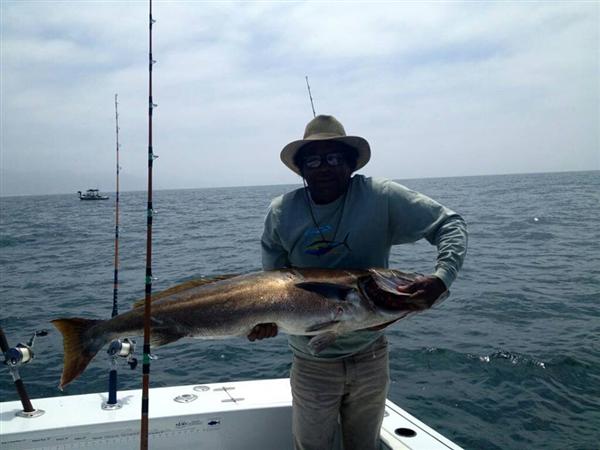 Cruz Seabass_6-9