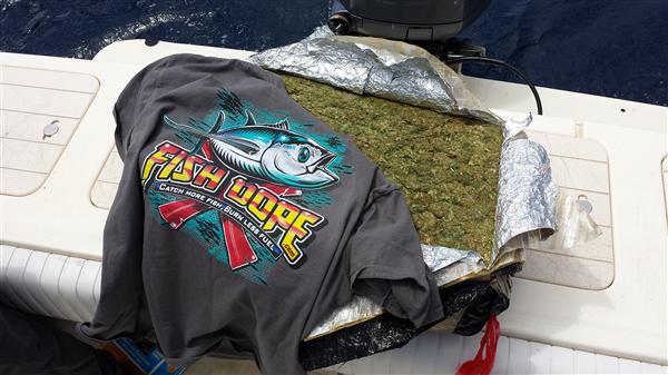 Fishdope shirt