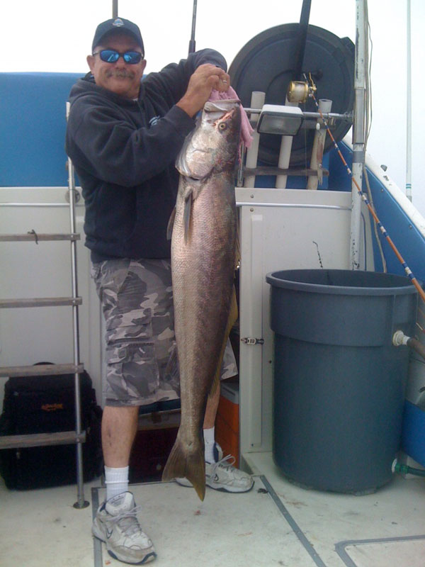 jim--first-white-seabass
