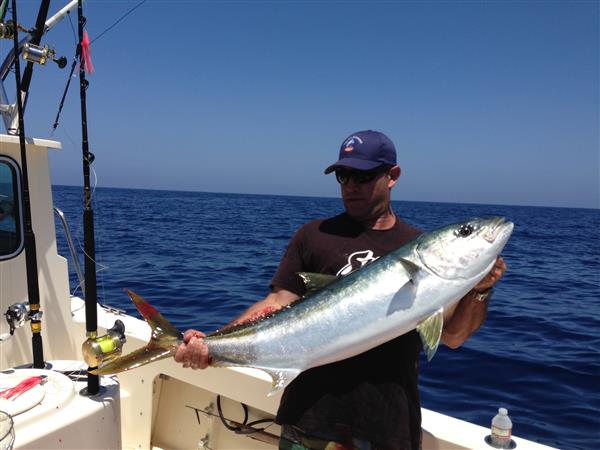 51e61b9d87df5-photo-8