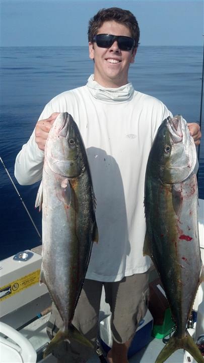 51edd966c0c67-matthew yellowtailo