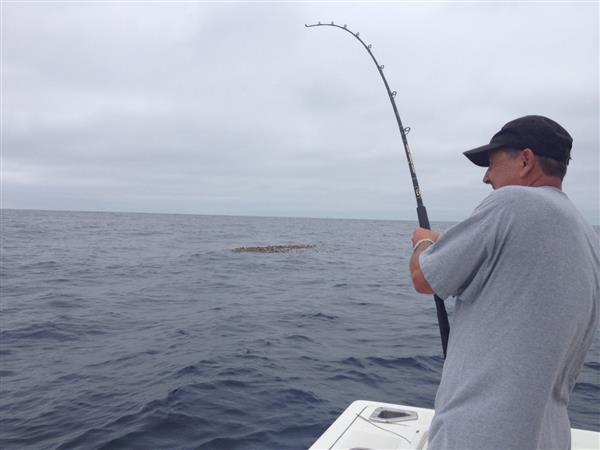 51f1a839d08f9-fishing Patty