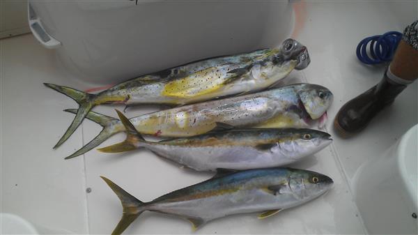 51f5d1410a15d-IMAG0765