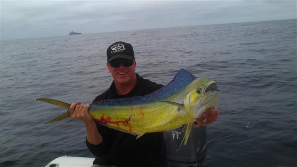 51f5d1411cff2-IMAG0762