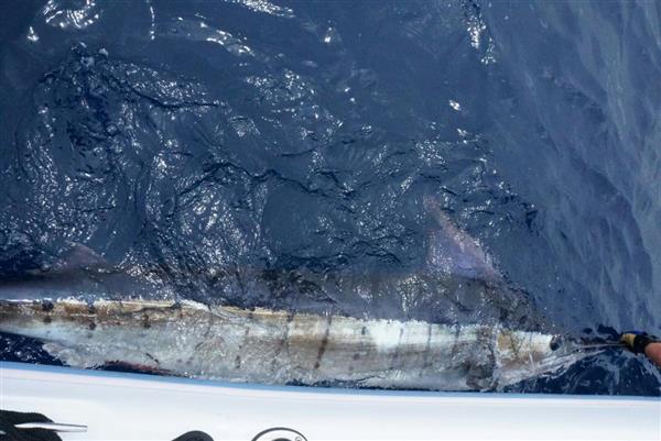 51f5f627d3387-DSC01416