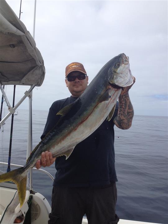 51f81b5b49686-yellow