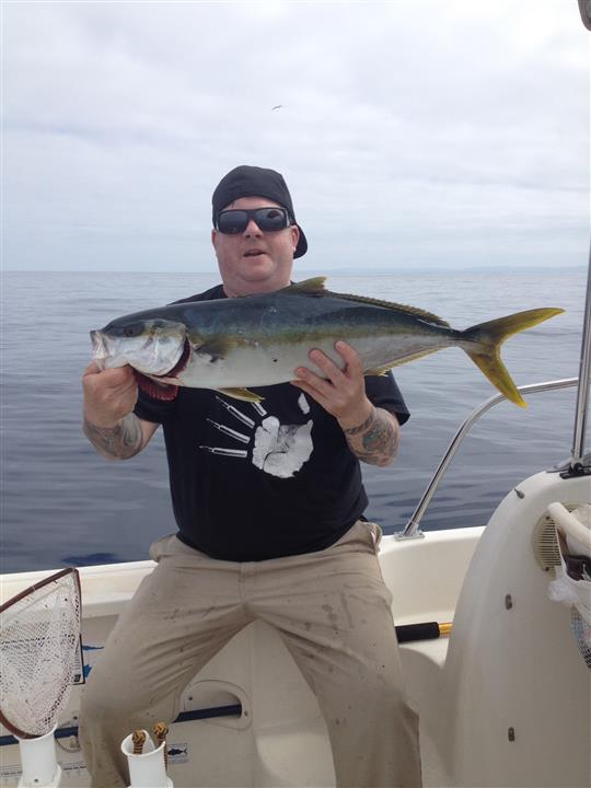 51f81b5b6a350-yellow2