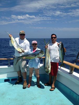 Dorado 7-12