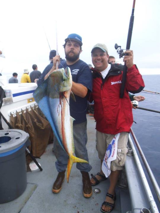 Dorado 7-7