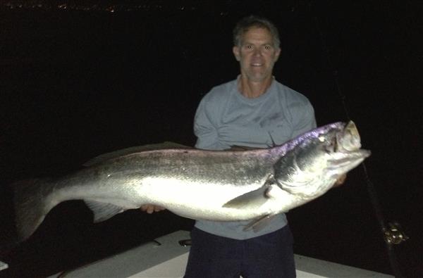 Hermosa Seabass_7-13