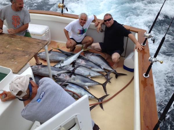 Lee Mayo_Bluefin_7-15