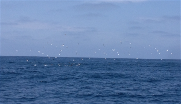 Screen shot_2013-07-14_at_9.32.16_PM