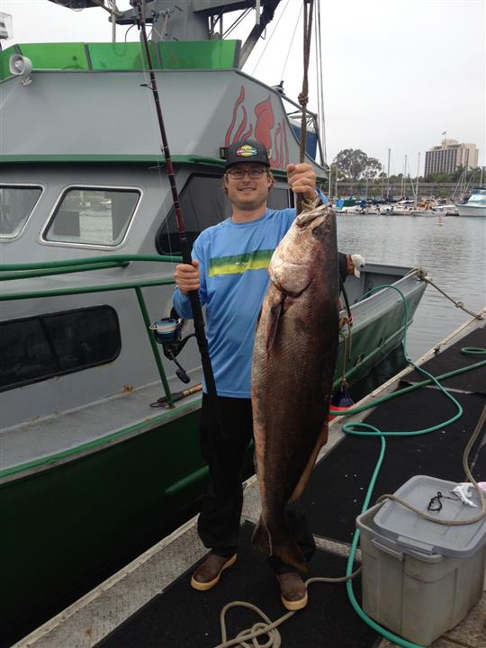 Seabass52LB