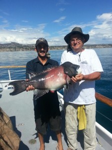 18lb sheephead 8-31