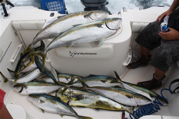 51fd10e6a6736-IMG 0200