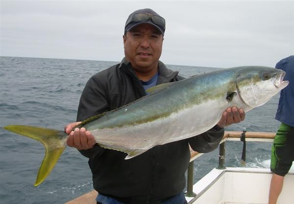 520a66f6e17b3-Electra 002