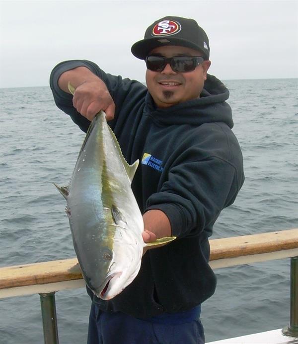 520a66f705005-Electra 008