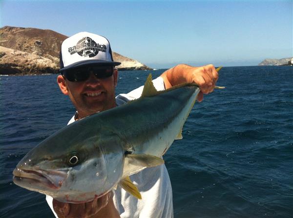 Yellow coronados 8-24