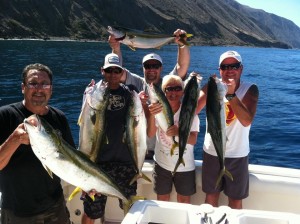 Clemente Yellows 9-5