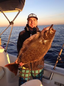 California halibut